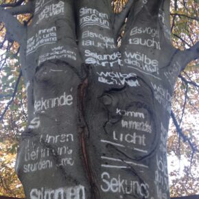 Barbara Beisinghoff's Poetree