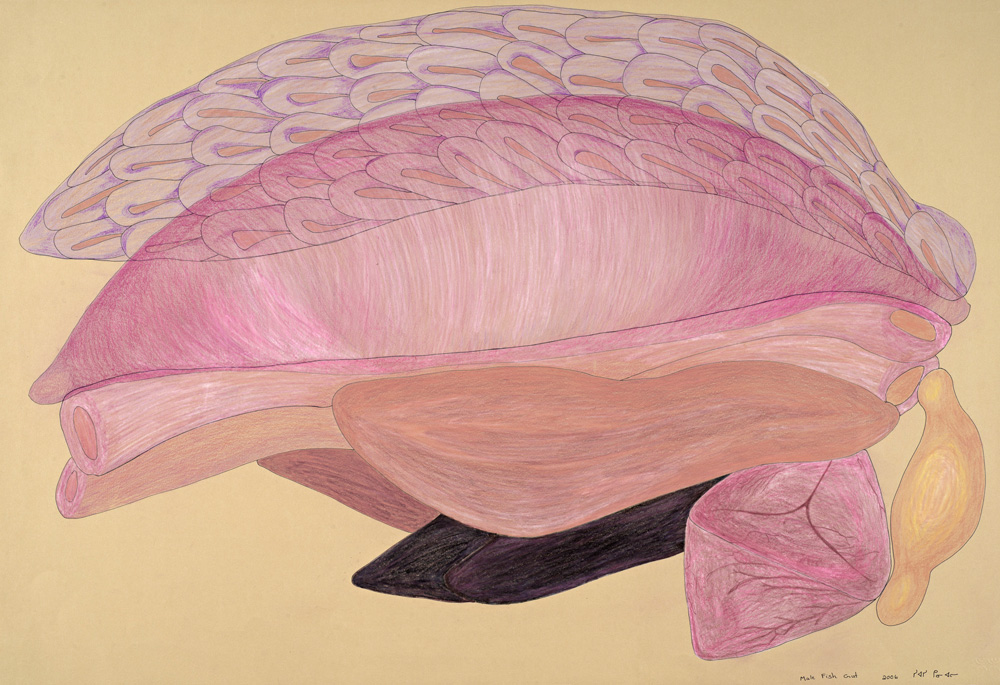 You are currently viewing Inuit Art from the Inside Out: Siassie Kenneally's Male Fish Gut